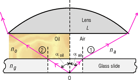 What is the function of an oil immersion objective?